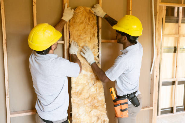 Best Local Insulation Services  in Tazewell, VA