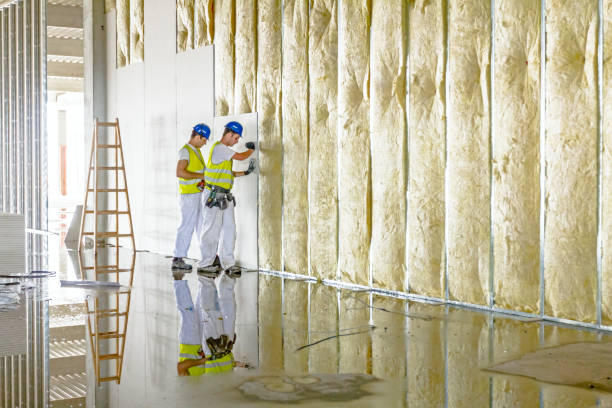 Best Spray Foam Insulation  in Tazewell, VA